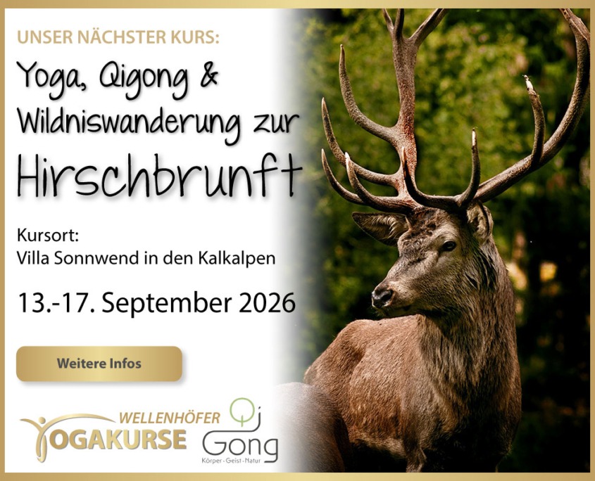 Hirschbrunft PopUp